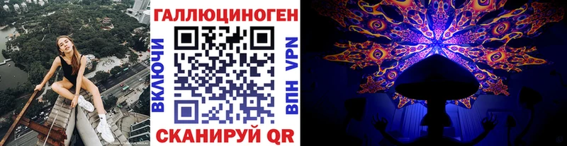 Галлюциногенные грибы Psilocybine cubensis  Реутов 