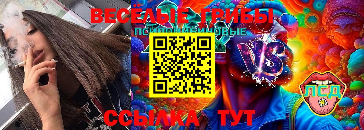 Псилоцибиновые грибы Psilocybine cubensis Реутов