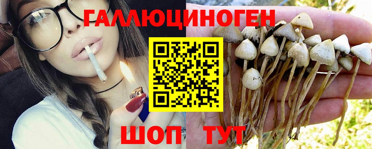 Галлюциногенные грибы GOLDEN TEACHER Реутов